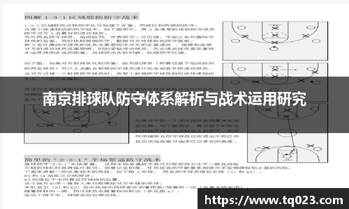 南京排球队防守体系解析与战术运用研究